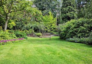 Optimiser l'expérience du jardin à Ecouen