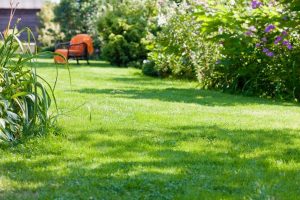 travaux jardin et paysage Ecouen